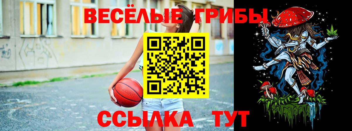 Псилоцибиновые грибы GOLDEN TEACHER Южноуральск