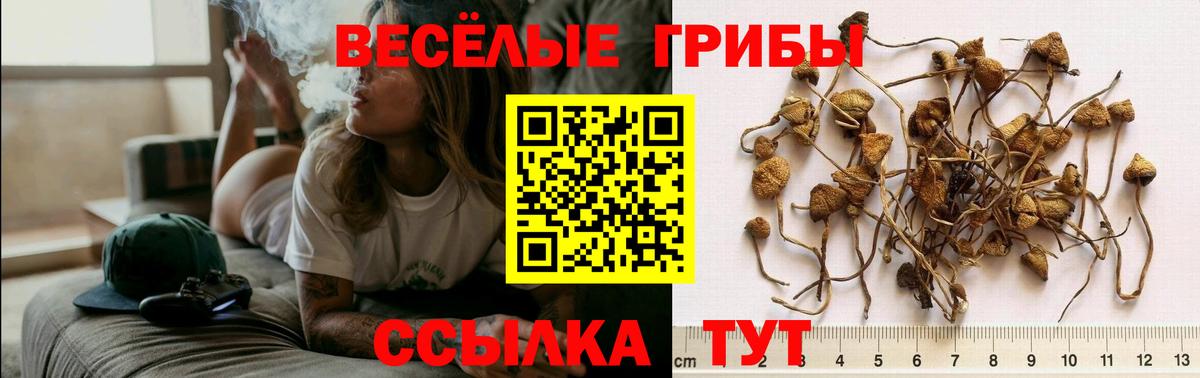 Галлюциногенные грибы мухоморы  Вход с VPN  Южноуральск 